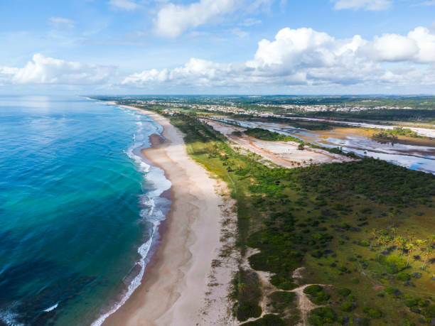 istock panoramic view on tropical brazilian coast in Bahia 1404019565