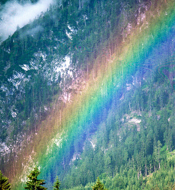 istock Closeup of a Rainbow 140401979