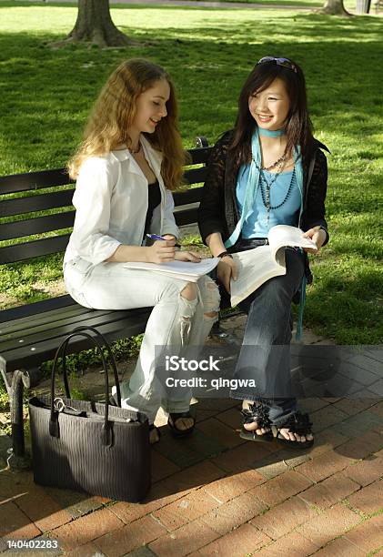 2 つの若い学生のアジア白人備えた公園のベンチ調査する - 16歳から17歳のストックフォトや画像を多数ご用意 - 16歳から17歳, 18歳から19歳, 2人