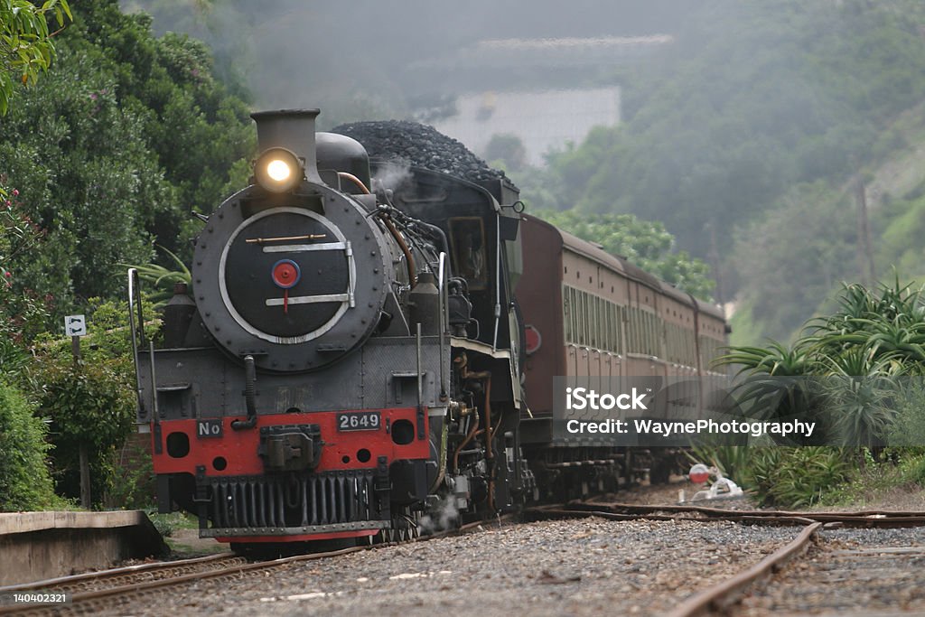 Outeniqua Chootjoe ingresar estación - Foto de stock de República de Sudáfrica libre de derechos