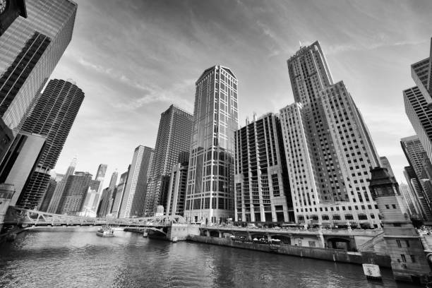 Downtown Chicago Skyline. stock photo