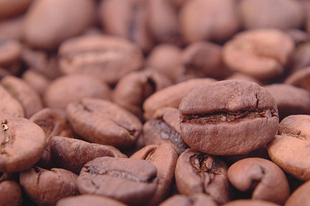 Big Coffee Bean stock photo