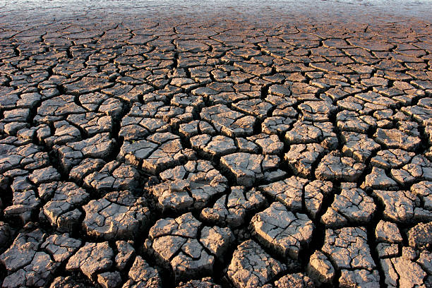 parched tierra - hambriento fotografías e imágenes de stock