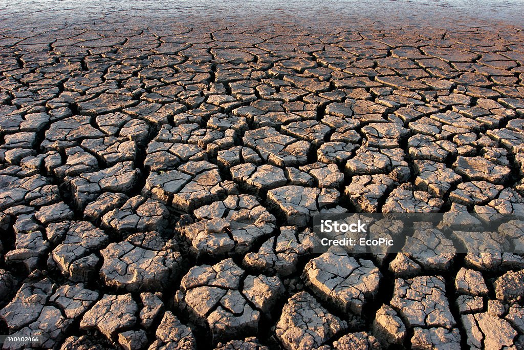 Parched land Cracked, parched land after a drought Famine Stock Photo