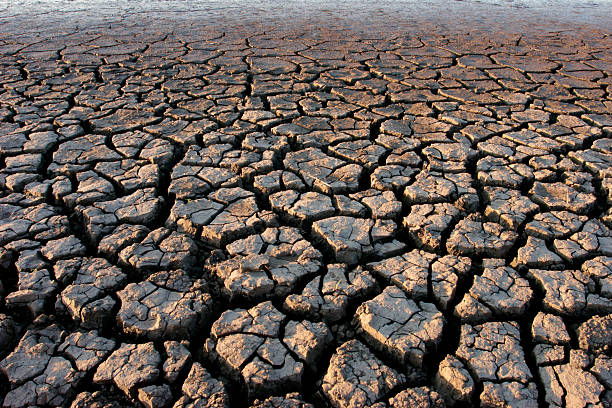 Parched land stock photo