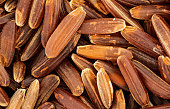 Red wholegrain rice under microscope, image width 18mm