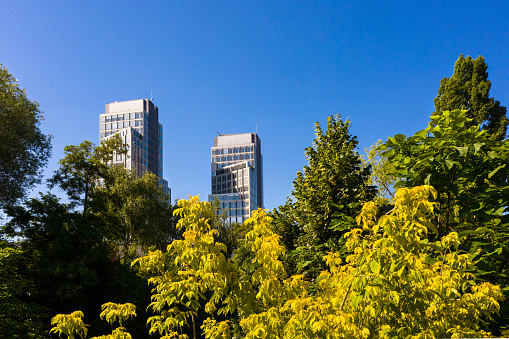 Lush foliage against modern city buildings