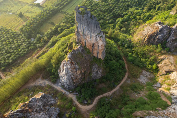 istock Mountain hill with green forest trees 1404026675