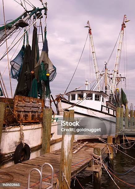 Shrimp Boats Docked At Pier Stock Photo - Download Image Now - Anchored, Atlantic Ocean, Commercial Dock