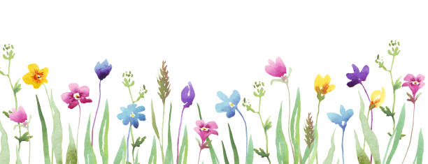 istock Wildflowers border. Watercolor clipart 1404028896