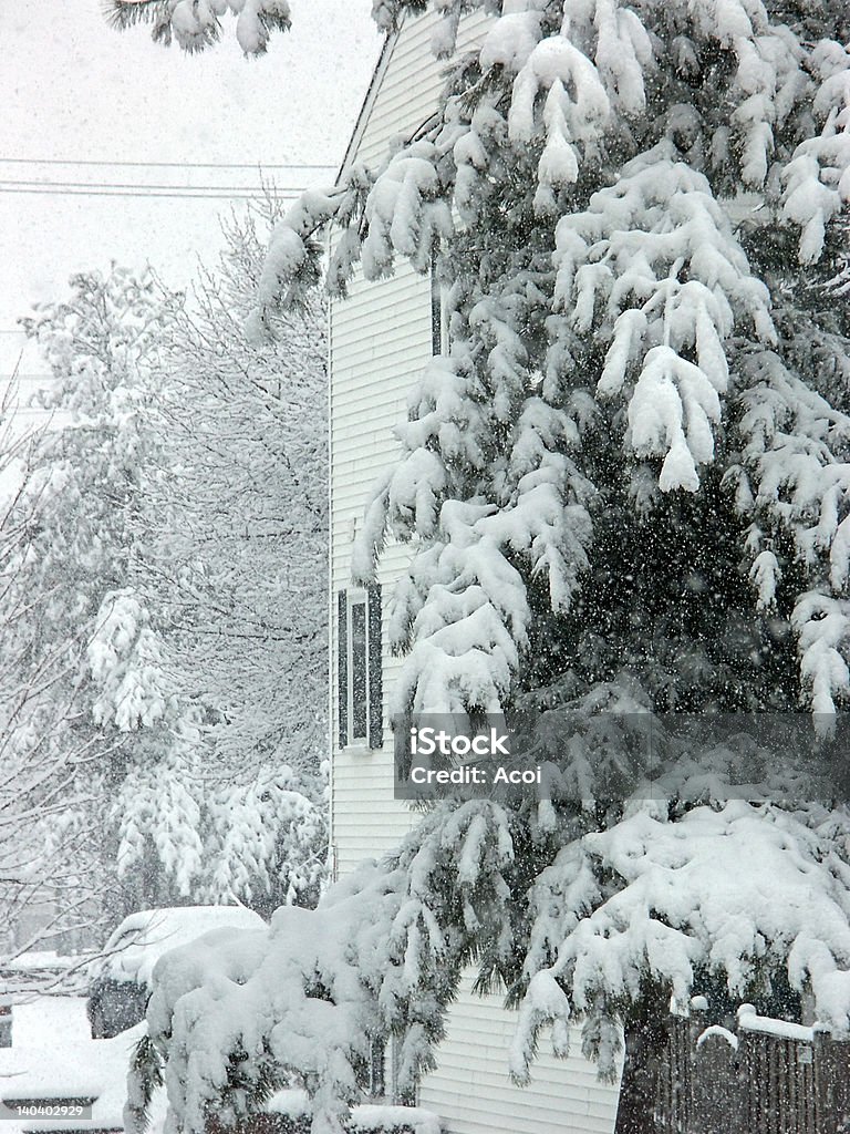 Heavy snow winter day after a snowfall Blizzard Stock Photo