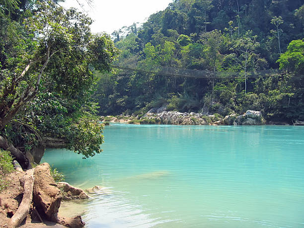 istock Blue green river in Agua Clara at Mexico 140403094