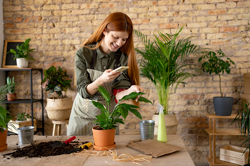 Young happy female florist working in her flower shop, taking care of her small business, using a smart phone to take photos of her plants