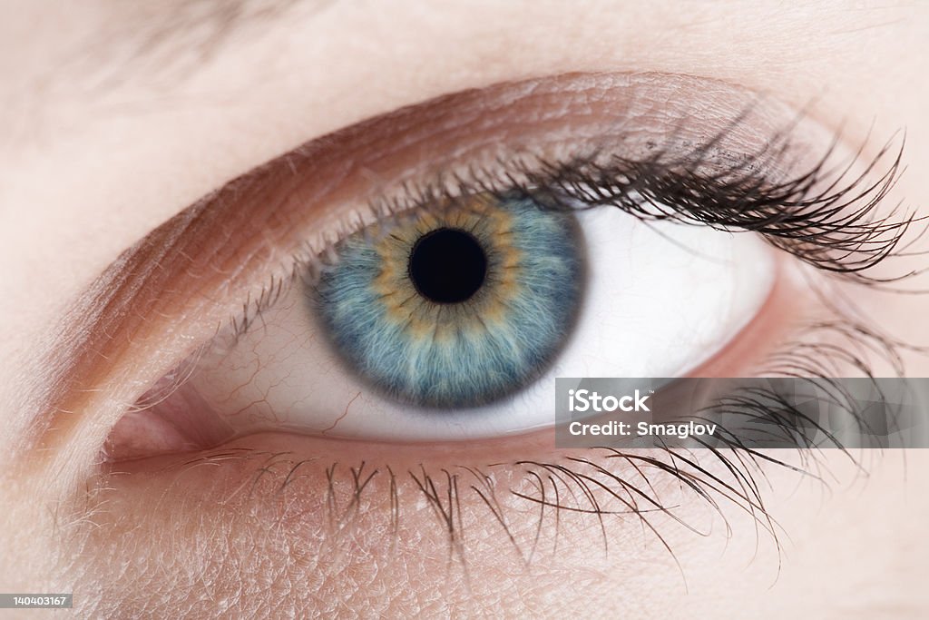 human eye. Macro shot blue human eye. Macro shot Beautiful People Stock Photo