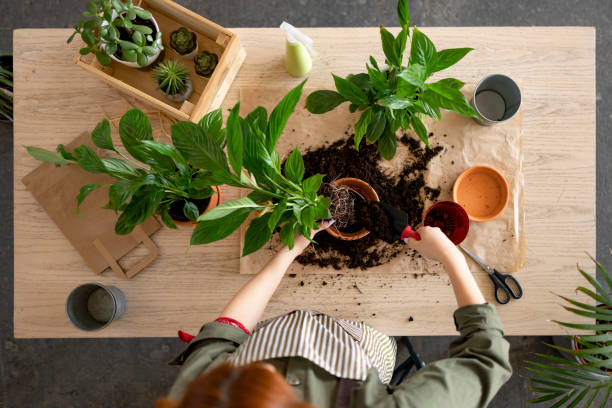 istock Working in a flower shop 1404031670