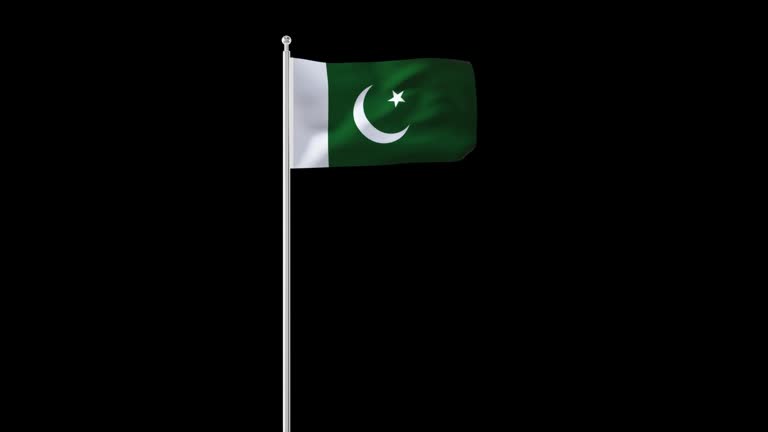282 Pakistani Cartoon Stock Videos and Royalty-Free Footage - iStock 282 Pakistani Cartoon Stock Videos and Royalty-Free Footage - iStock