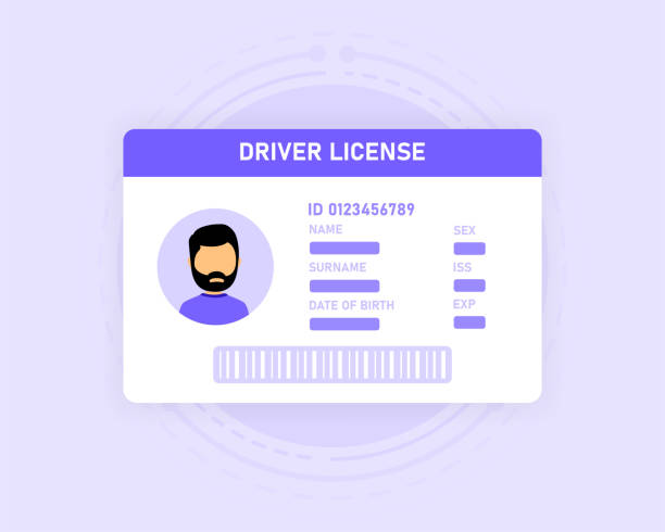 illustrations, cliparts, dessins animés et icônes de permis de conduire. permis de conduire en voiture et dans d’autres transports. illustration vectorielle. - id card