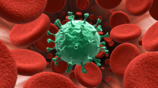 istock Blood cells and virus 1404033061