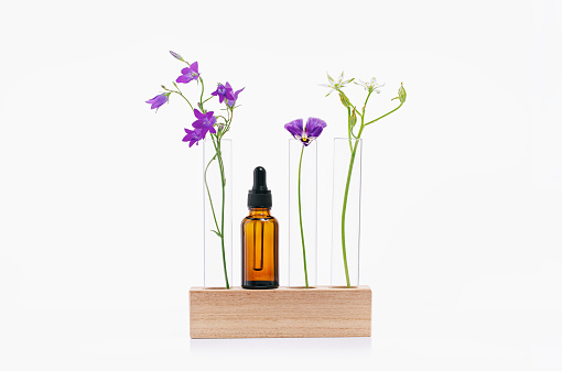 Natural medicine or essential aroma oil or beauty essence concept vials with dropper on wooden podium stand with flowers and white background. Face and body spa serum care concept banner