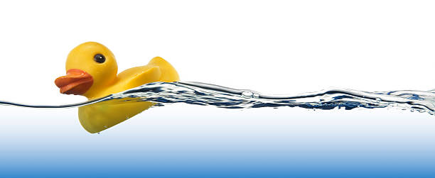 Cтоковое фото Резиновый утёнок в воде