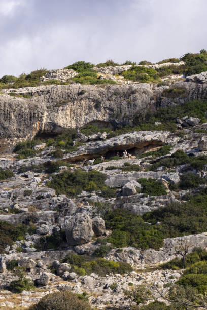 istock Weathered limestone cliffs with goat herd near natural overhanging shelter 1404036586