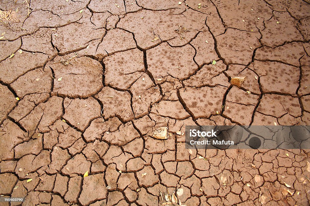 parched 강 베드 3개 - 로열티 프리 0명 스톡 사진