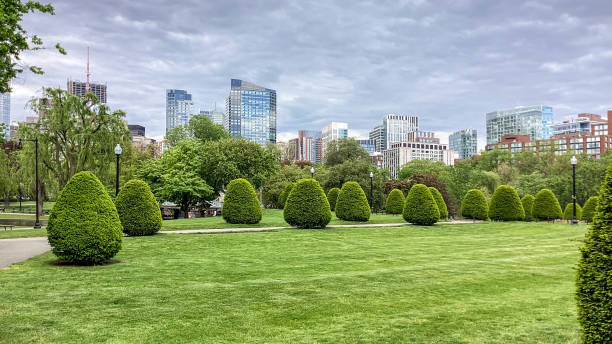 istock Boston Skyline at Public Garden in Boston, Massachusetts. 1404038086