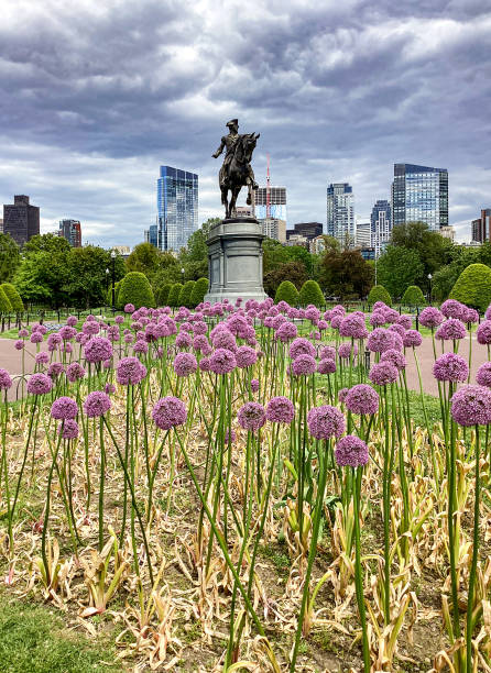istock Boston Skyline at Public Garden in Boston, Massachusetts. 1404038146
