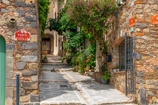 A cat lounges in a narrow shaded alley in the historic medieval village of Grimaud, France.