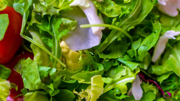 istock a mixture of lettuce and tomatoes. background 1404040962