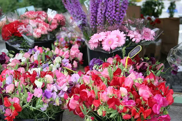 Sweetpeas, Gerbera and Carnations in pails during Market-day a sunny day in June