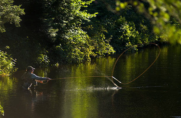 adirondack-fly fisherman - wading stock-fotos und bilder