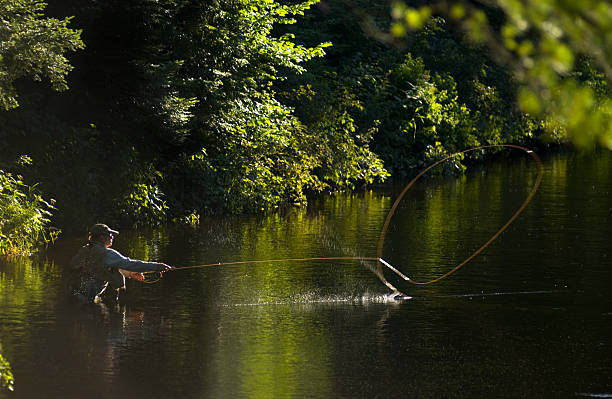 pescador con mosca adirondack - wading fotografías e imágenes de stock