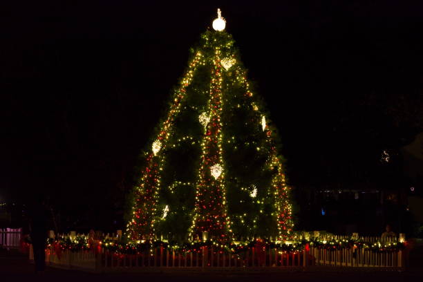 istock A  Beautiful Christmas Tree Lighting up in the Street 1404043158