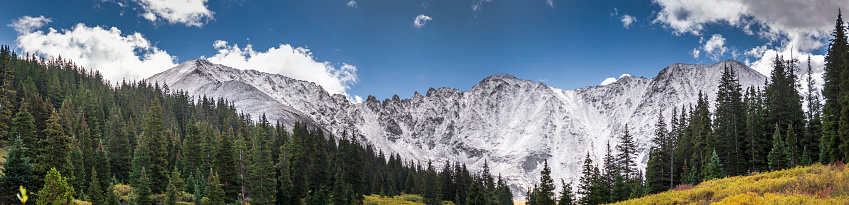 A panorama of a pine tree forest in front of the shear, snow covered walls of a glacial cirque.