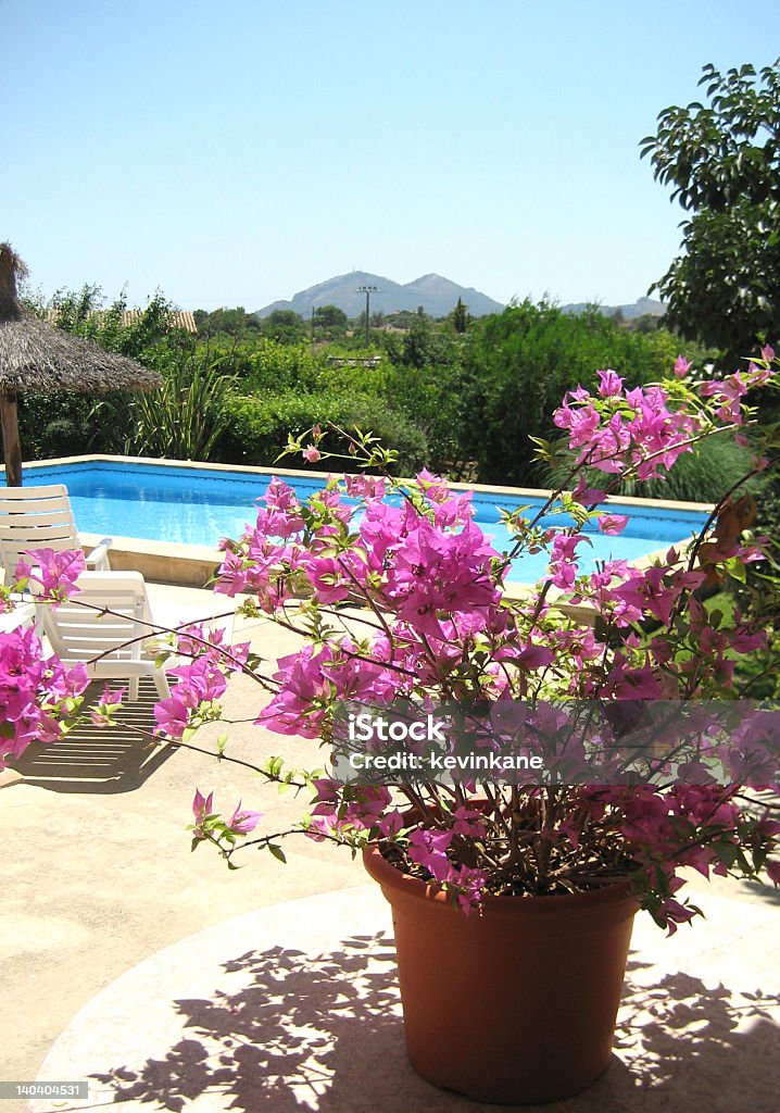 Vista sulla piscina - Foto stock royalty-free di Maiorca