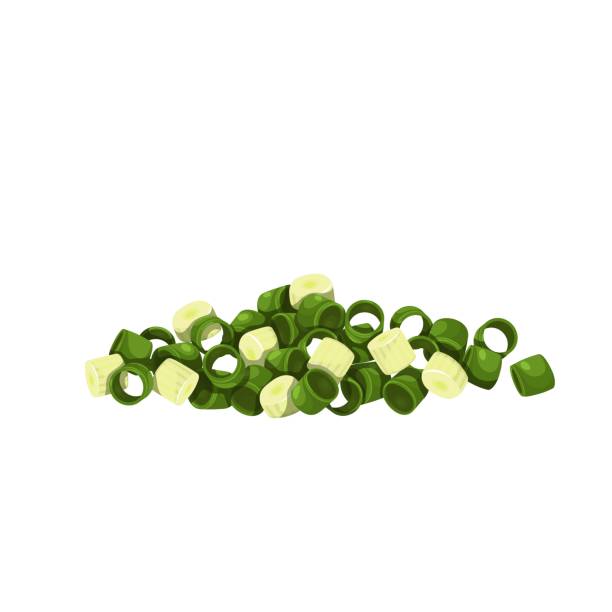 Chopped green onion, chives Chopped green onion, chives. Vector illustration. scallion stock illustrations