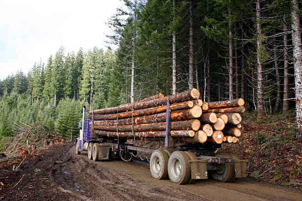 logging truck logging truck lumber industry photos stock pictures, royalty-free photos & images