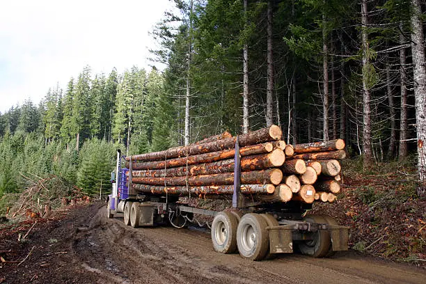 logging truck