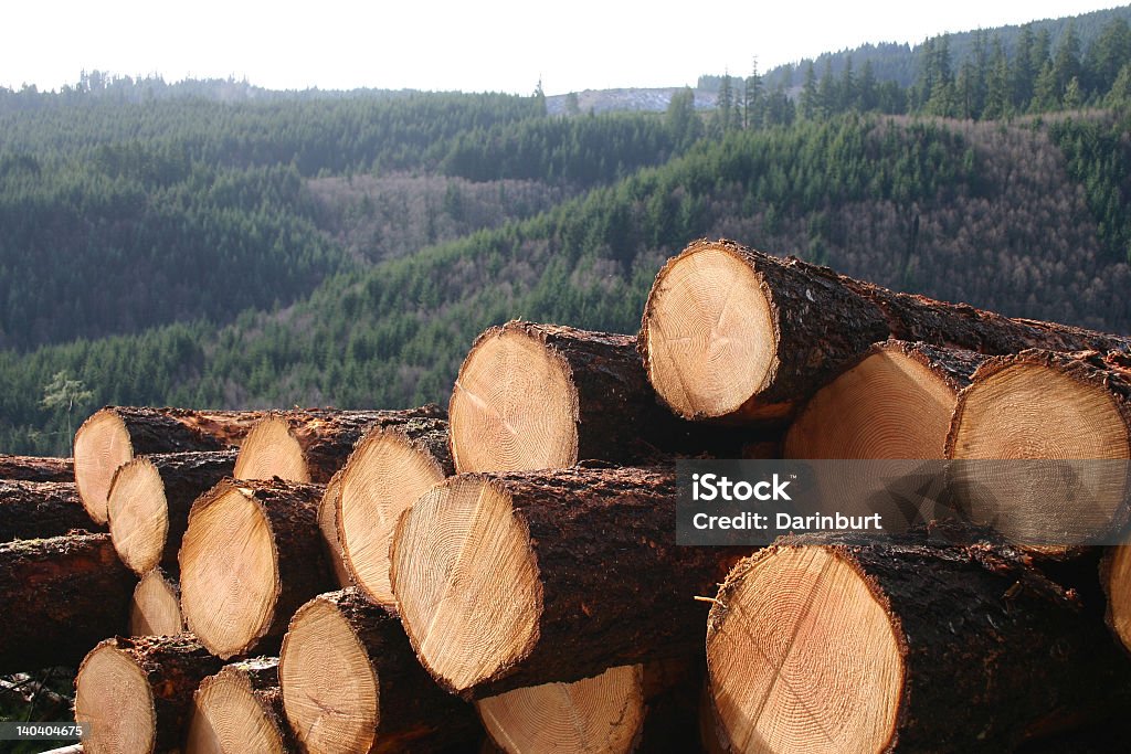 Protokolle - Lizenzfrei Forstwirtschaft Stock-Foto