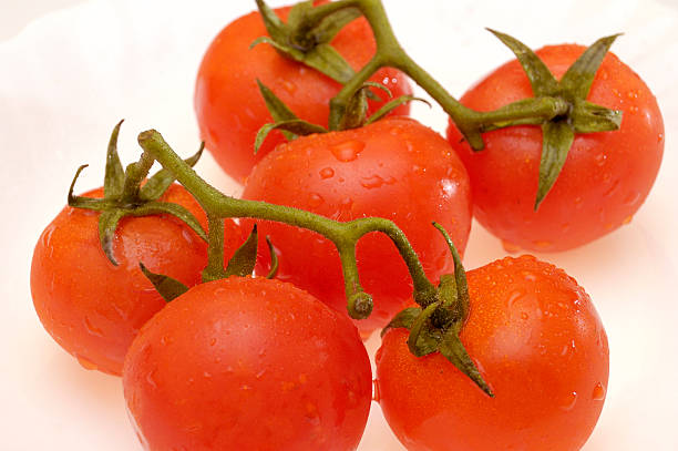 Close-up of small tomatoes stock photo