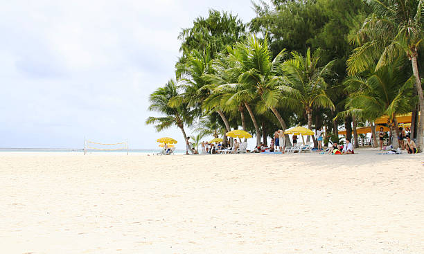 Raradise ilha tropical - foto de acervo