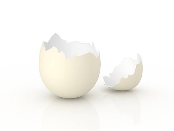 Broken egg shell Broken egg shell, 3D render. It's a template for a surprise  concept image. eggshell stock pictures, royalty-free photos & images