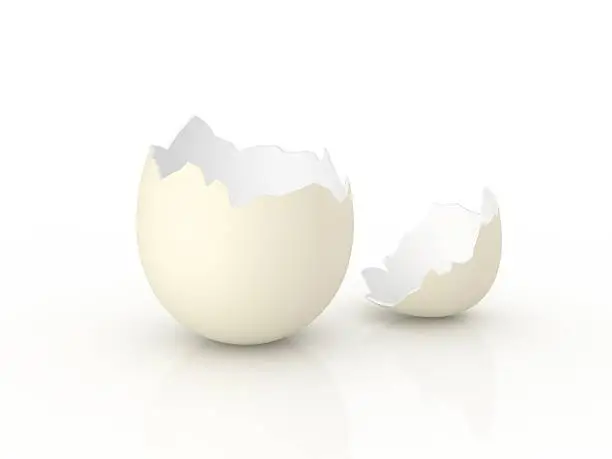Broken egg shell, 3D render. It's a template for a surprise  concept image.