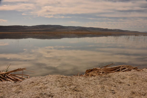 istock Shoreline Of Dreamlike Still Lake 1404052404
