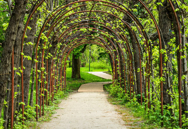 istock Arch in a green spring garden 1404055307