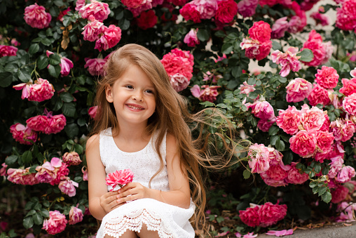 Cute baby girl 5-6 year old holding rose flower sitting over blooming bushes in garden outdoor. Spring season. Stylish little child over nature background. Springtime. Childhood.