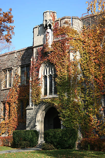 istock Ivy covered entrance 140405872