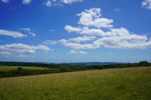 istock View of a grass field and blue sky's with clouds 1404058799