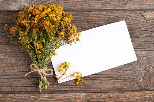 Dried St. John's wort plant and paper card on wooden background